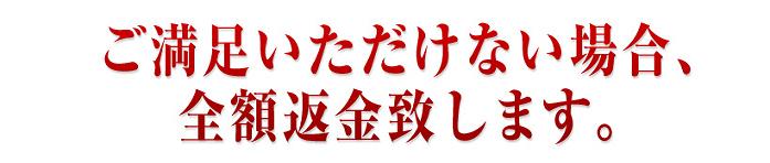 �W���W�����t�g�@�j�L�r